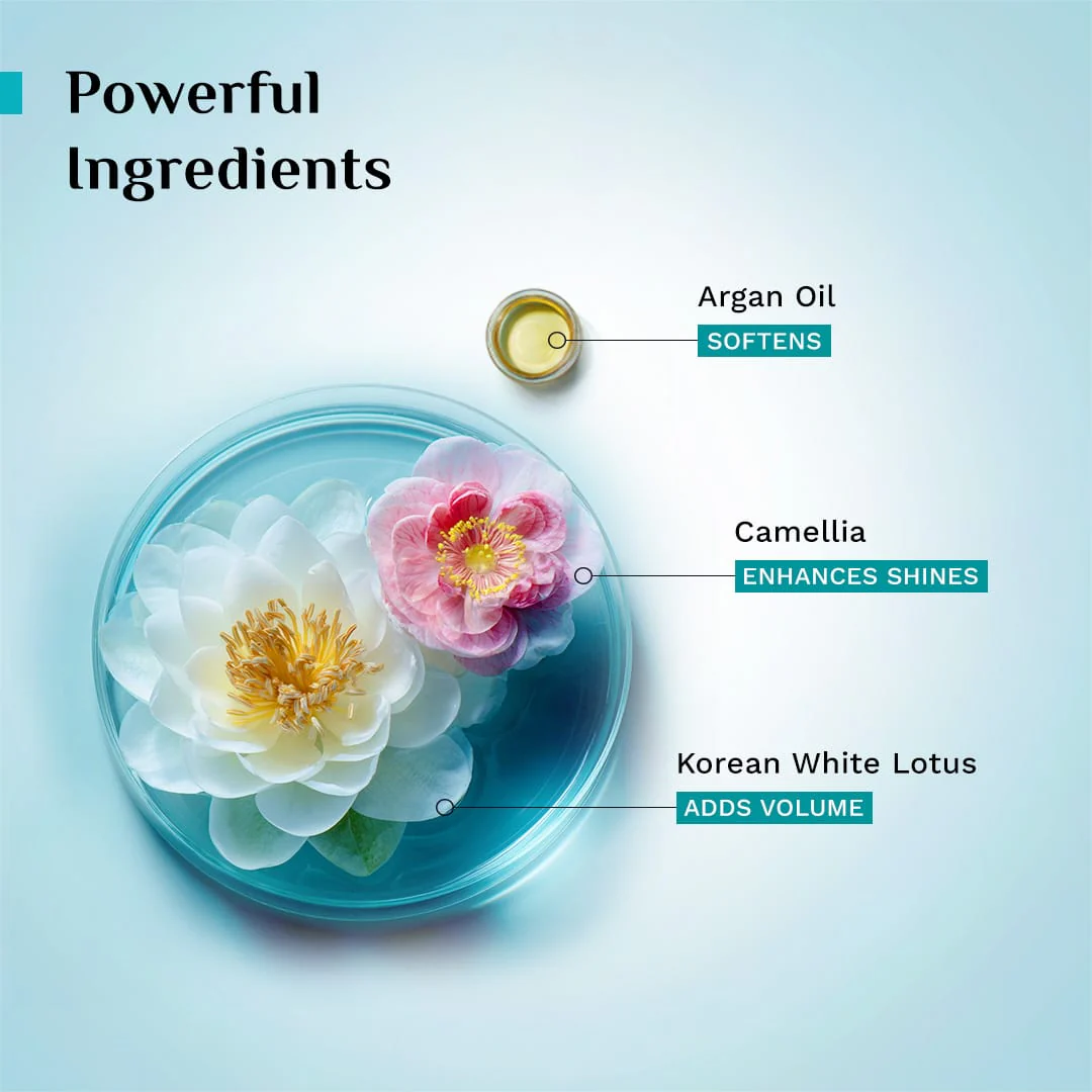 Sulphate Free Shampoo  & Argan Oil Hair Mask - Image 4