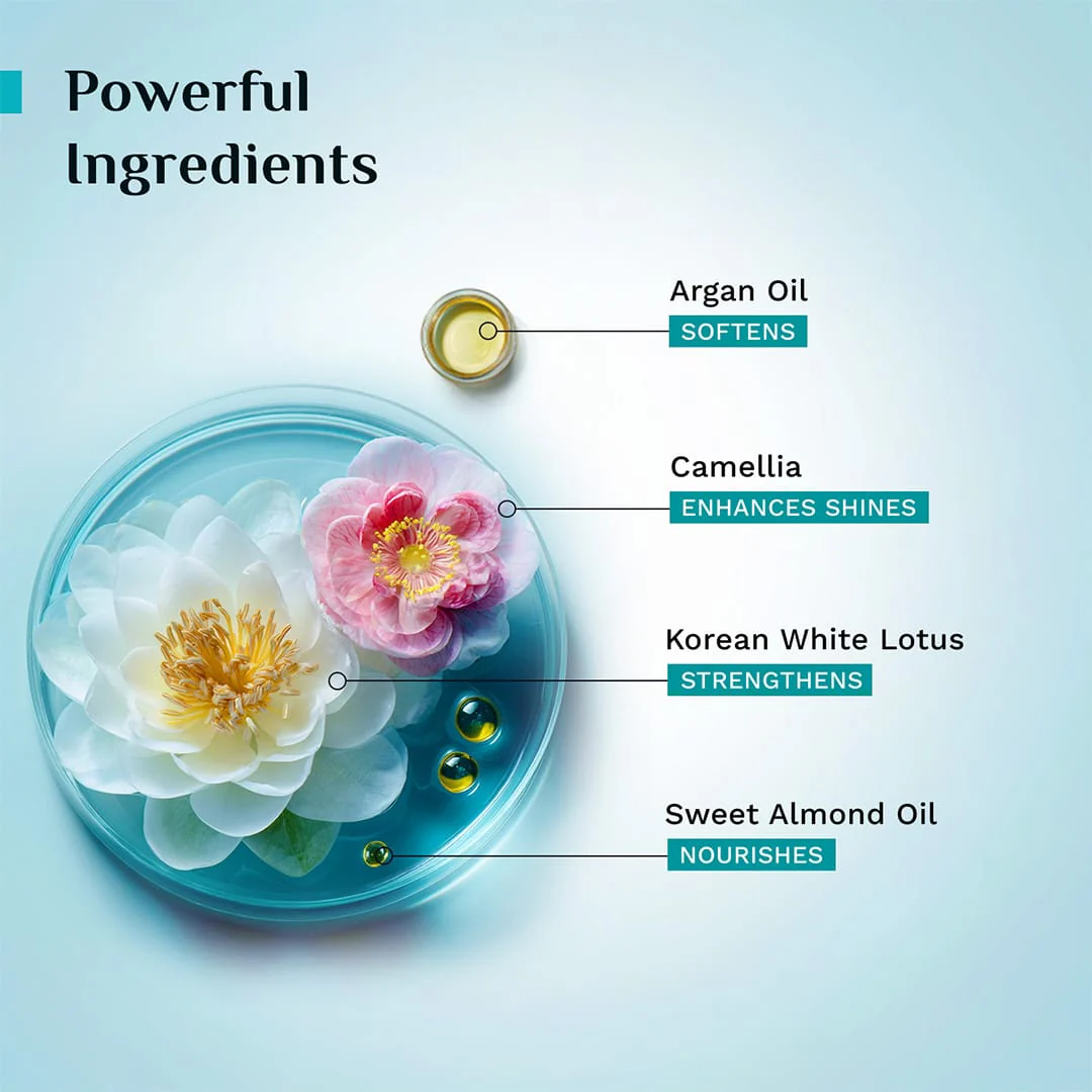 Argan Oil Sulphate Free Shampoo with Korean White Lotus, Camellia & Sweet Almond Oil - 400ml - Image 3