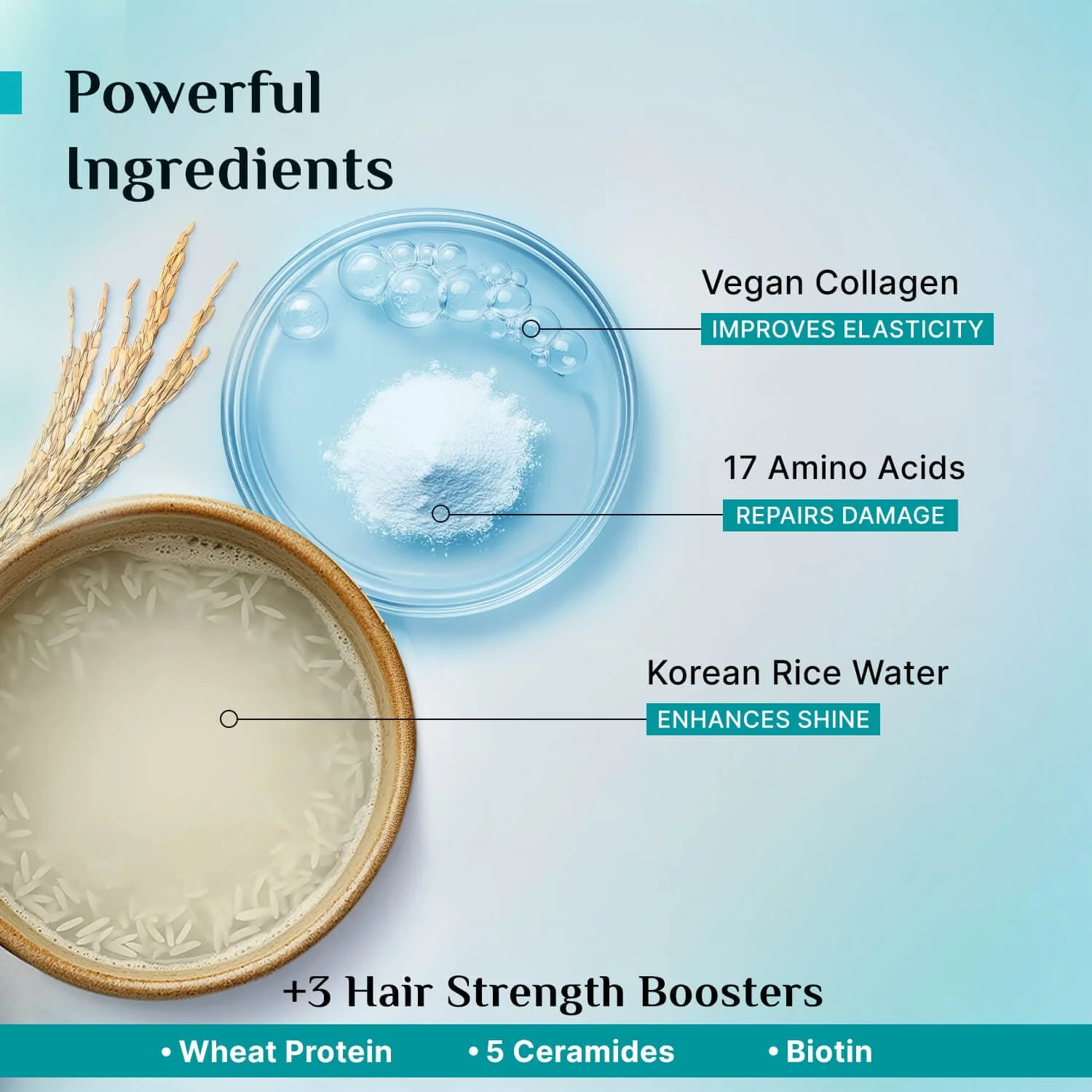 Korean Rice Water & Collagen Advanced Damage Repair Conditioner - Image 4