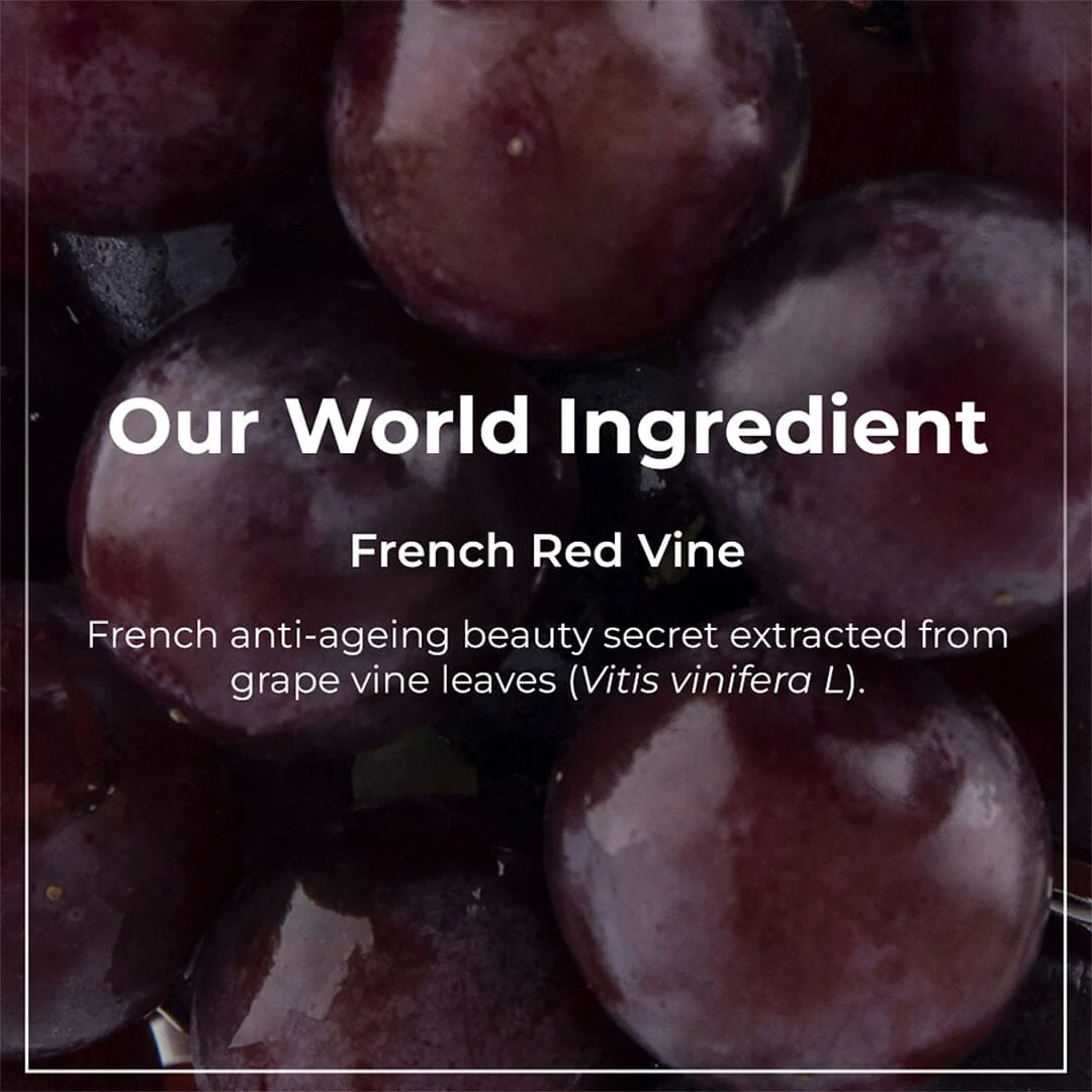 Red Vine Night Gel Crème with Retinol, Mulberry & Vit. C 50gm - Image 5