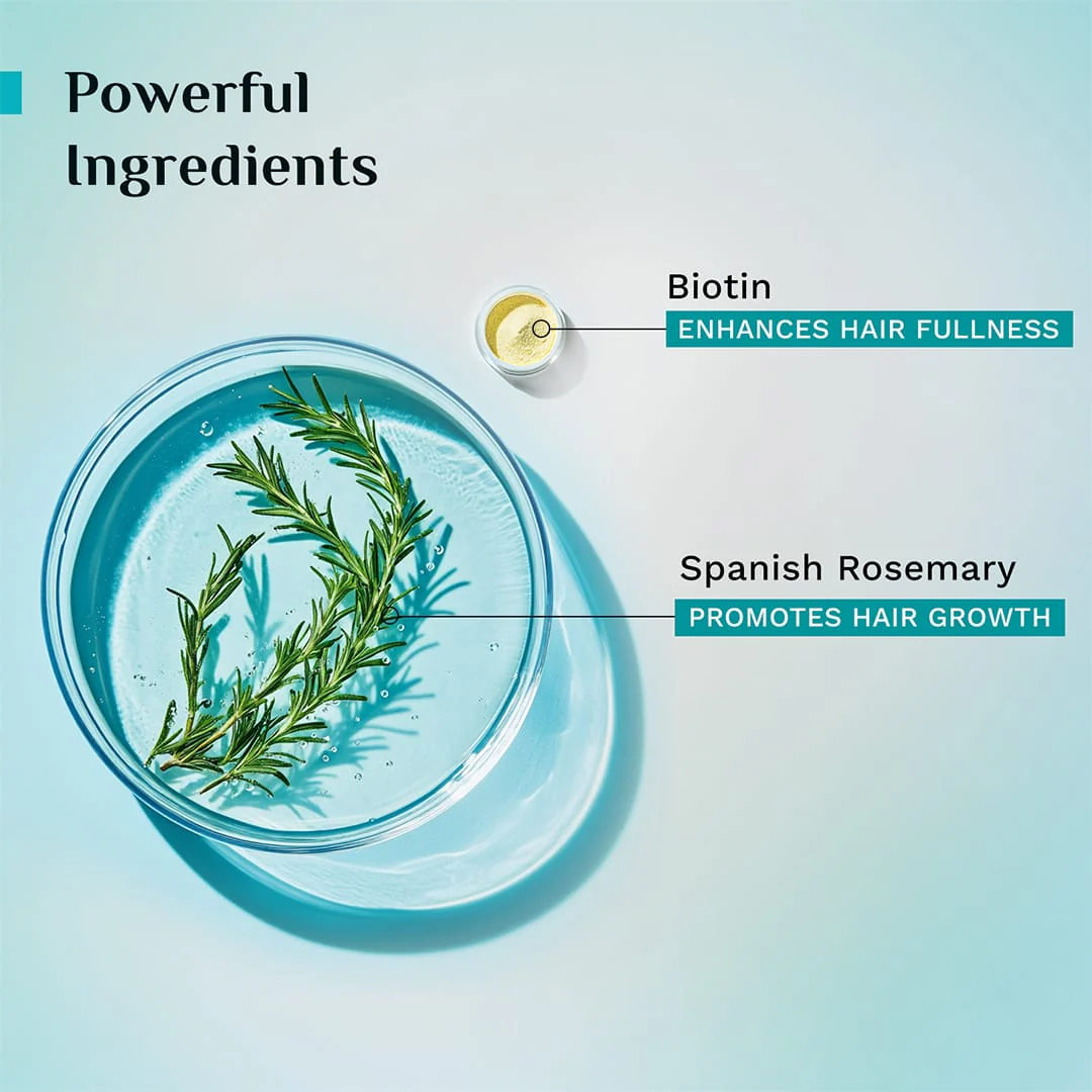 Spanish Rosemary & Biotin Anti-Hairfall Shampoo - 400ml - Image 5